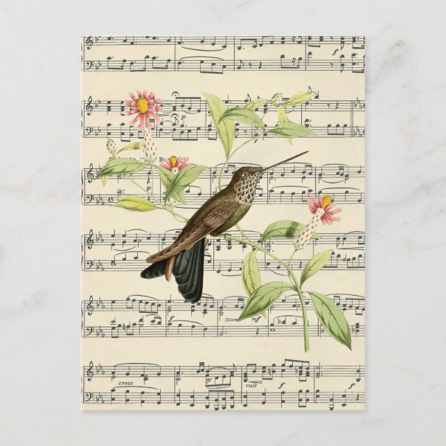 Vintage Botanische Hummingvogelmusik nach der Post Postkarte (Vorderseite)