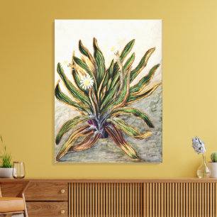 Vintage-Botanische Illustration des Gänseblümchens Leinwanddruck