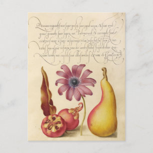 Vintage botanische Illustration Feiertagspostkarte
