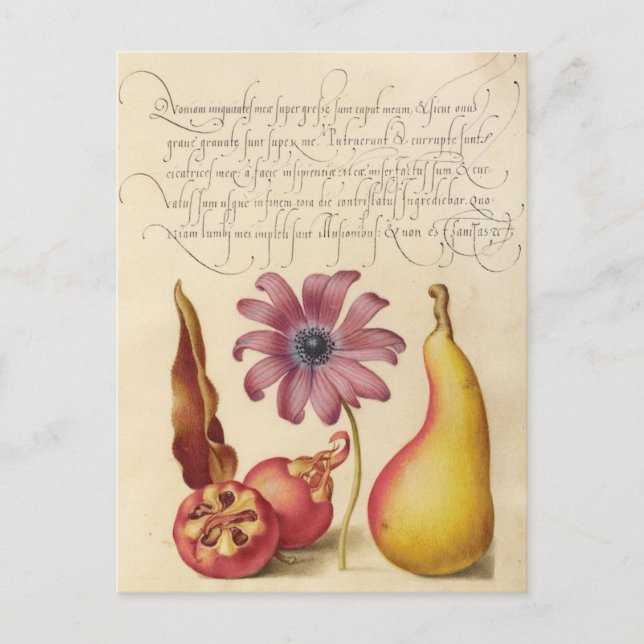Vintage botanische Illustration Feiertagspostkarte (Vorderseite)