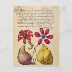 Vintage botanische Illustration Feiertagspostkarte