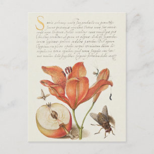 Vintage botanische Illustration Holiday Postkarte