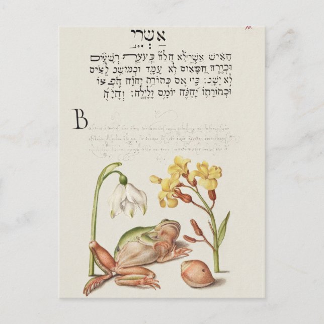 Vintage botanische Illustration Holiday Postkarte (Vorderseite)