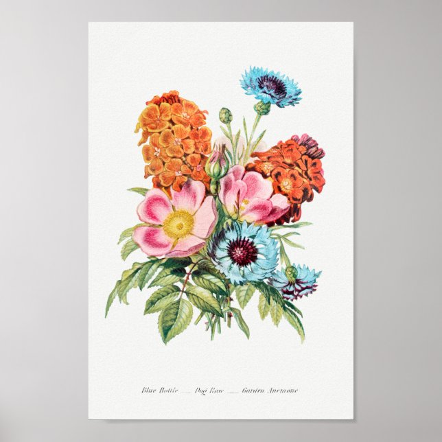 Vintage botanische Illustration Poster (Vorne)