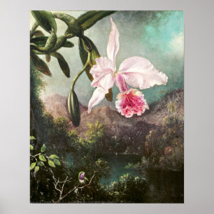 Vintage botanische Illustration Poster