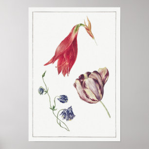 Vintage botanische Illustration Poster