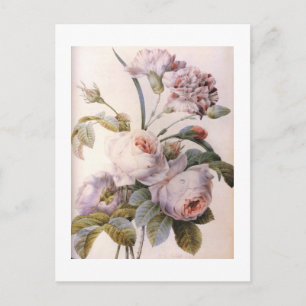 vintage botanische Illustration, rosa Rose Postkarte