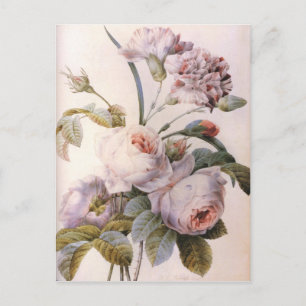 vintage botanische Illustration, rosa Rose Postkarte