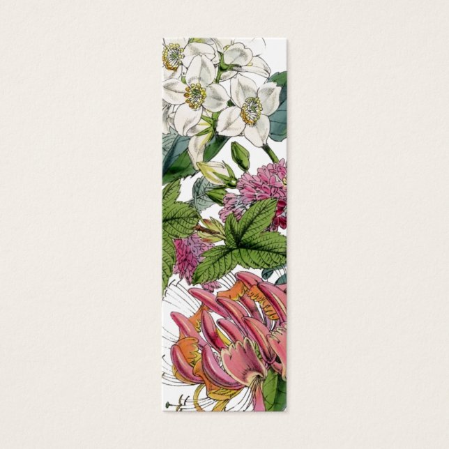 Vintage botanische Illustrationen (Vorderseite)