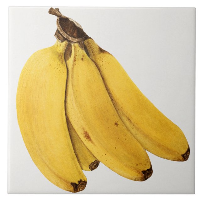 Vintage botanische Keramik Fliese (Vorderseite)