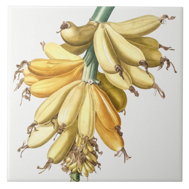 Vintage botanische Keramik Fliese (Vorderseite)