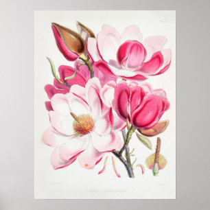 Vintage Botanische Kunst, Dichtung und Musik Poster