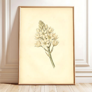 Vintage Botanische Kunst Druck Wanddekoration Poster