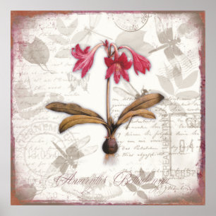Vintage botanische Kunst druckt Poster