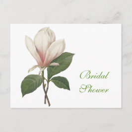 Vintage botanische Kunst - elegante magnolische Bl Einladungspostkarte