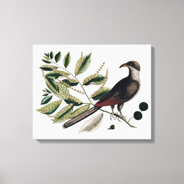 Vintage botanische Leinwand (Vorderseite)