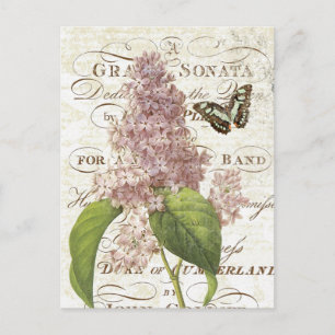 Vintage Botanische Lila-Postkarte Postkarte