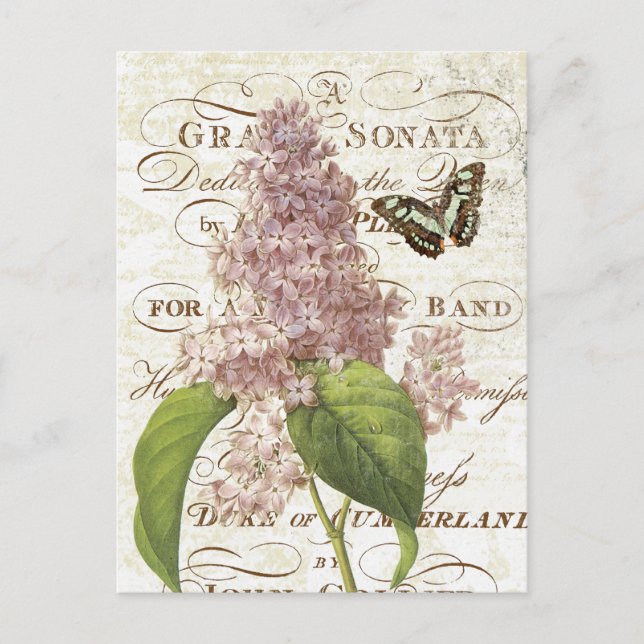 Vintage Botanische Lila-Postkarte Postkarte (Vorderseite)