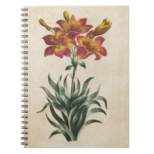 Vintage botanische Lily Illustration Notizblock