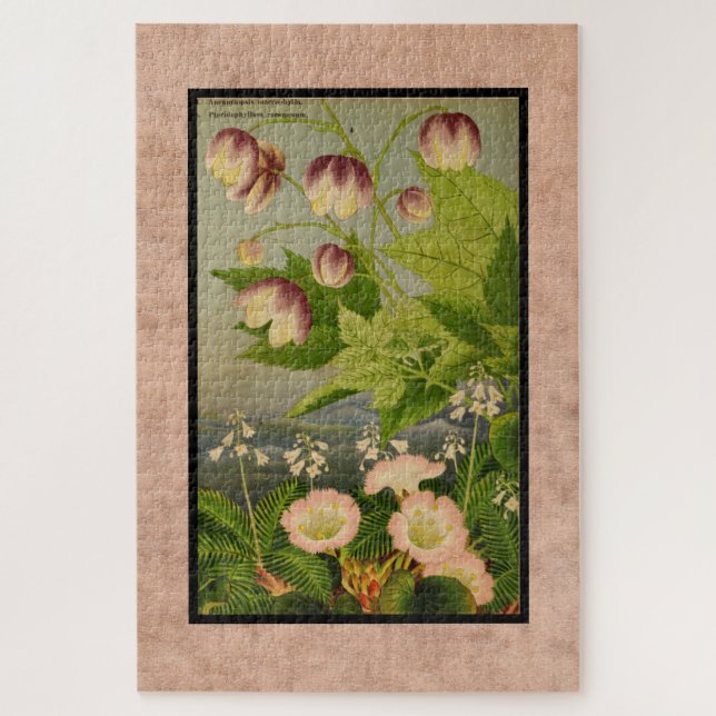 Vintage botanische Malerei australischer Blume (Vertikal)