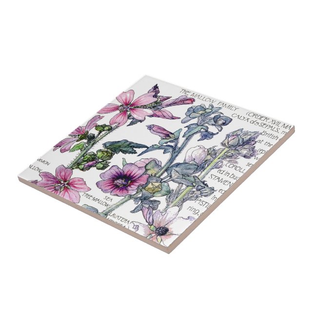 Vintage botanische Malven-Wildblume-Blumen-Fliese Fliese (Seite)