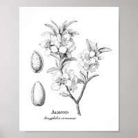 Vintage botanische Mondtäuschung