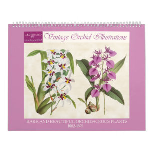 Vintage botanische Orchideen-Illustrationen 2024 Kalender