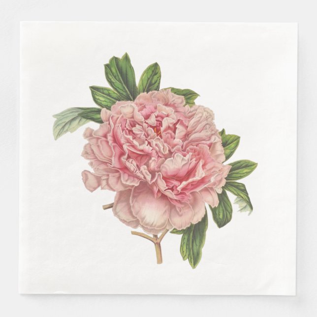 Vintage Botanische Papierservietten (Vorderseite)