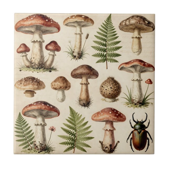 Vintage botanische Pilz-Farn-Collage Fliese (Vorderseite)