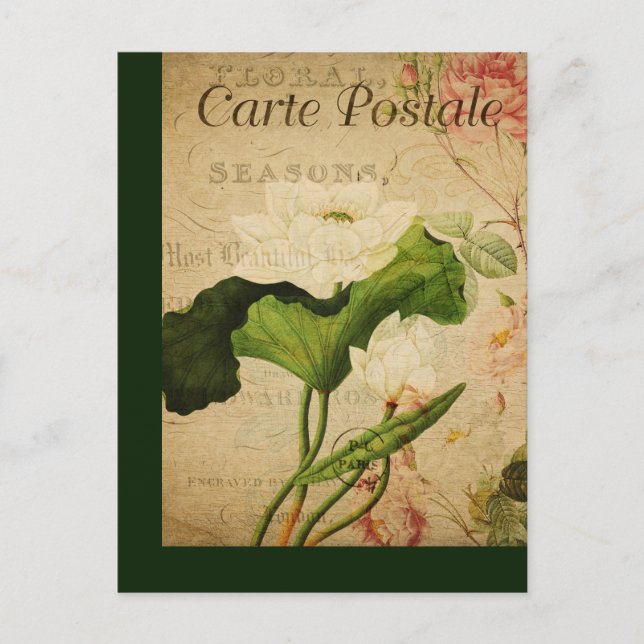 Vintage Botanische Postkarte Lotus (Vorderseite)