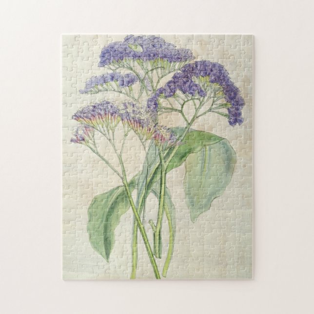 Vintage botanische Profusstatice (Vertikal)
