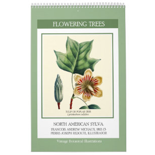 Vintage botanische Redoute Blütenbaum 2024 Kalender