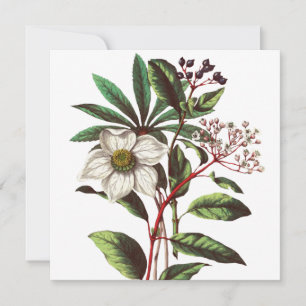 Vintage botanische Rose Blume Bouquet