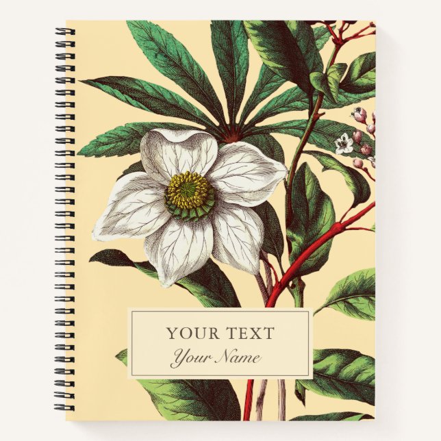 Vintage botanische Rose Blume Notizbuch (Vorderseite)