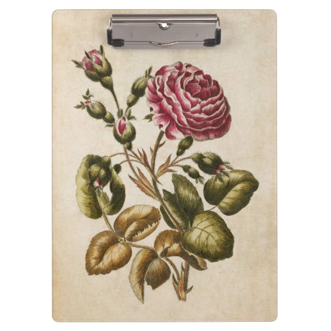 Vintage botanische Rose Klemmbrett (Vorderseite)
