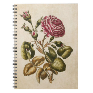 Vintage botanische Rose Notizblock