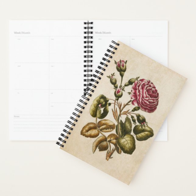 Vintage botanische Rose Planer (Anzeige)