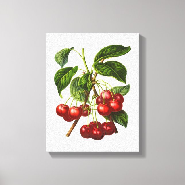 Vintage Botanische Rotkrebse Canvas Leinwanddruck (Vorderseite)