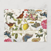 Vintage botanische Schmetterlinge und Vögel Postka