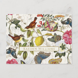 Vintage botanische Schmetterlinge und Vögel Postka Postkarte