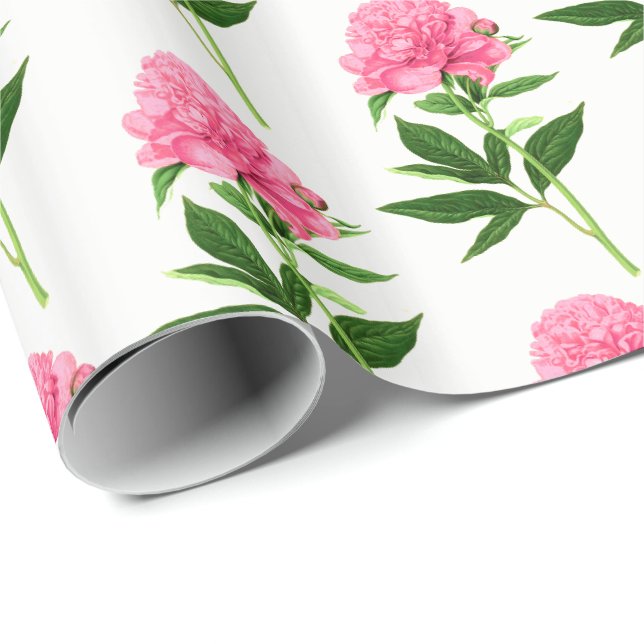 Vintage botanische Schrift, Pastellrosa Geschenkpapier (Rolleneckpunkt)