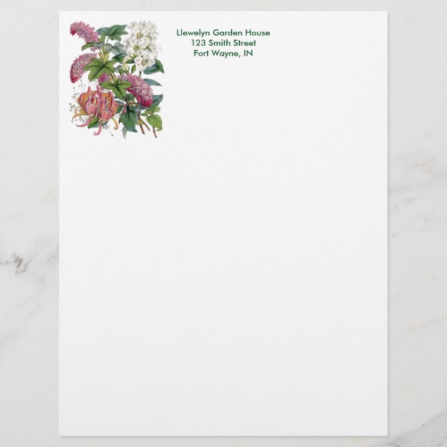 Vintage botanische Seite (Vorderseite)