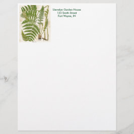 Vintage botanische Seite - Fern
