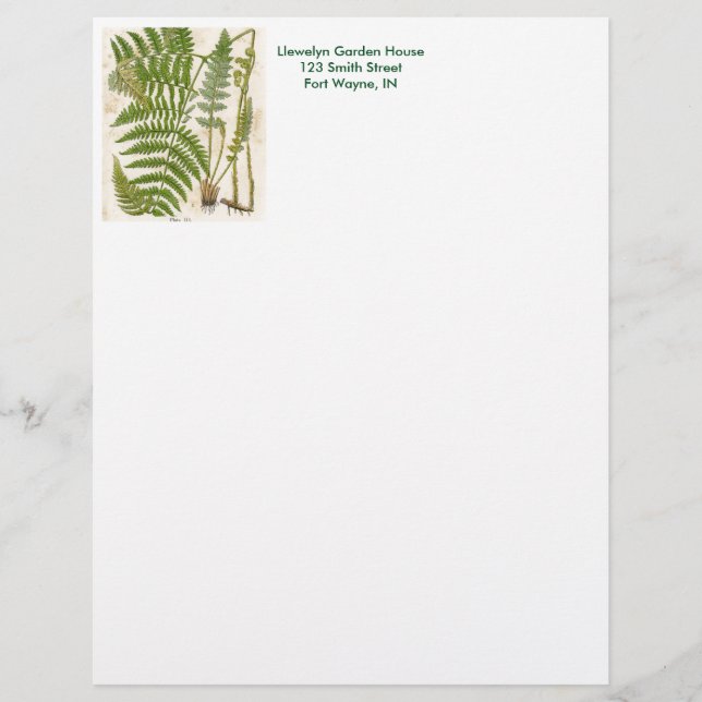 Vintage botanische Seite - Fern (Vorderseite)