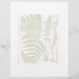 Vintage botanische Seite - Fern