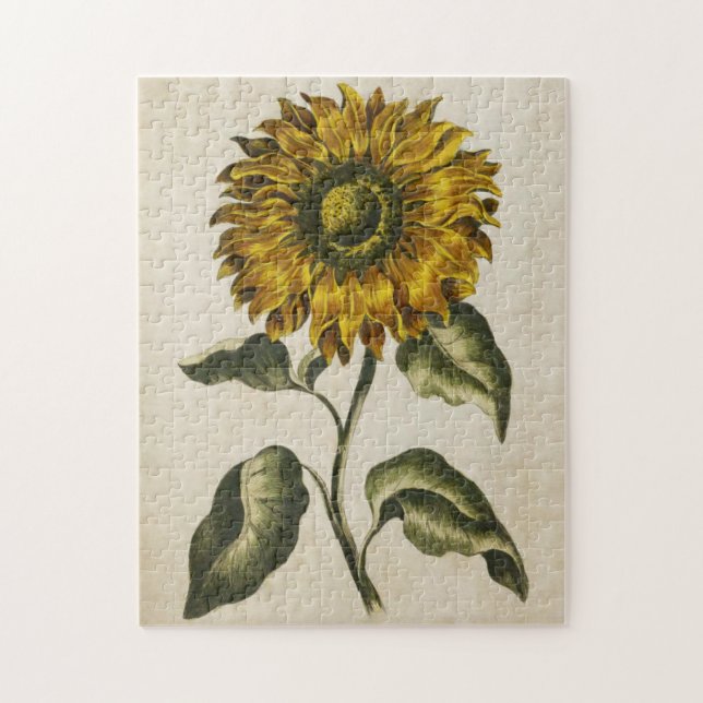 Vintage botanische Sonnenblume (Vertikal)