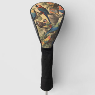Vintage botanische Szene bunte Papageien in einem Golf Headcover