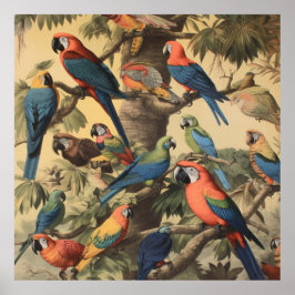 Vintage botanische Szene bunte Papageien in einem  Poster