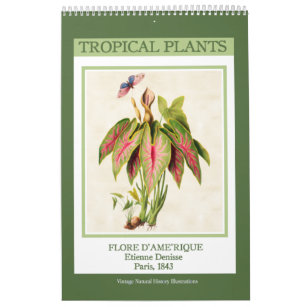 Vintage botanische tropische Pflanze 2024 Kalender