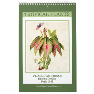 Vintage botanische tropische Pflanze 2026 Kalender